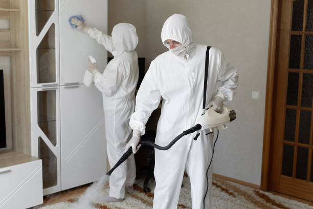 24/7 Emergency Odor Removal experts in Kingston, IL