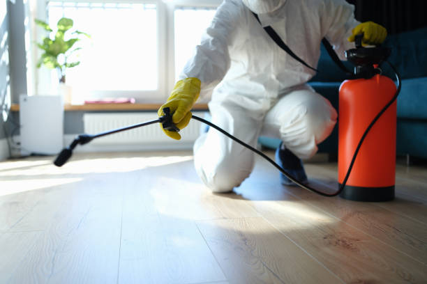 Reliable Odor Removal contractor in Kingston, IL by Trauma Clean Pros